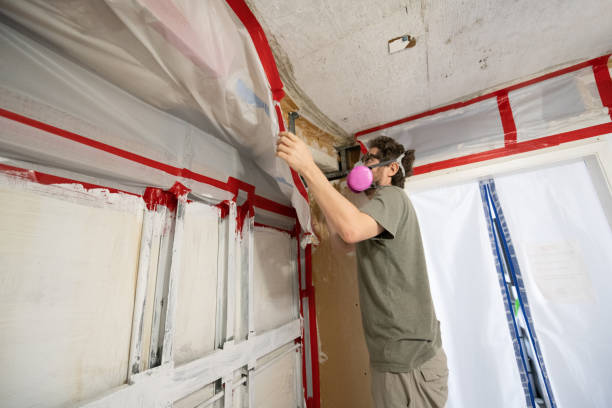 Best Mold Prevention Services  in Rochester, WA