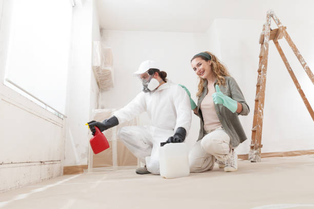 Best Mold Damage Restoration  in Rochester, WA